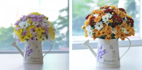 Mẫu “Sắc màu cuộc sống”, một sự pha trộn đầy màu sắc của đủ loại cúc trắng, vàng, đỏ, tím, đáp ứng đầy đủ nhu cầu của người mua. Thêm vào đó, chiếc bình tưới cắm hoa cũng làm tăng thêm nét đáng yêu cho mẫu. Giá: 350.000 đồng*.