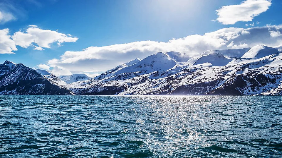 ngắm cá voi Husasta, Iceland