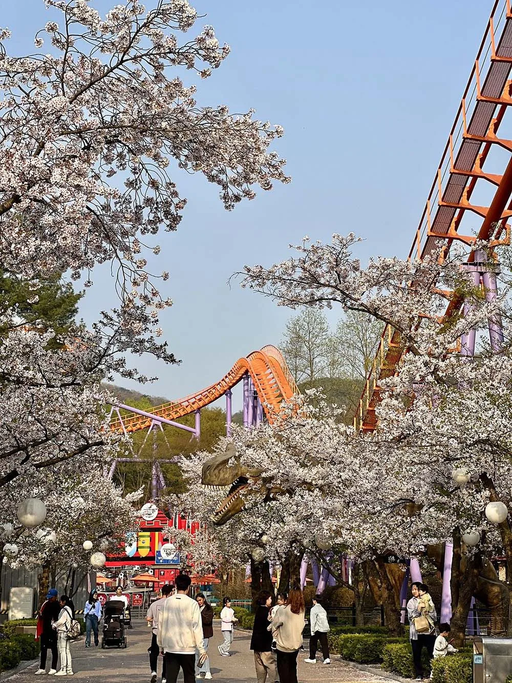 seoul land