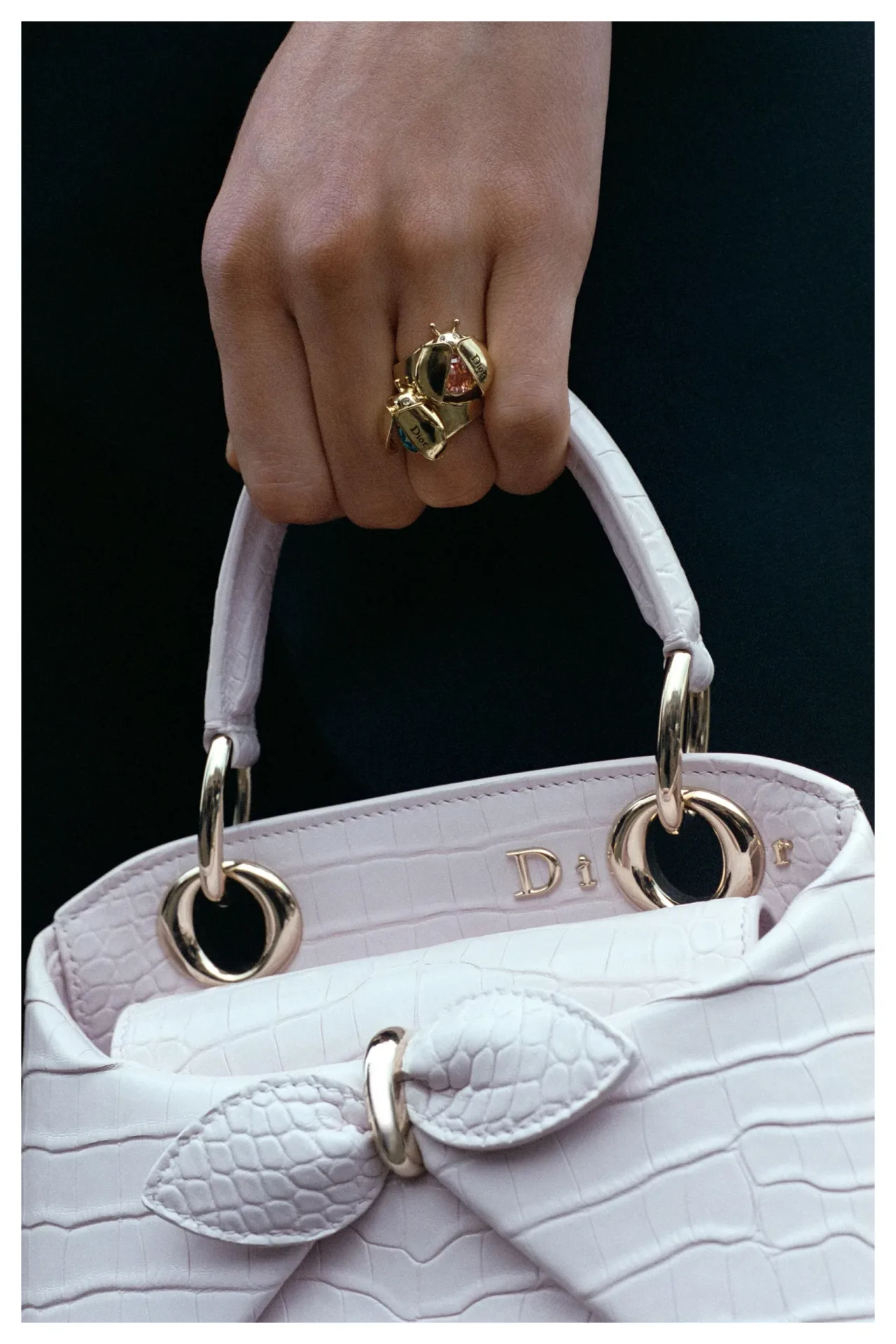 phụ kiện dior