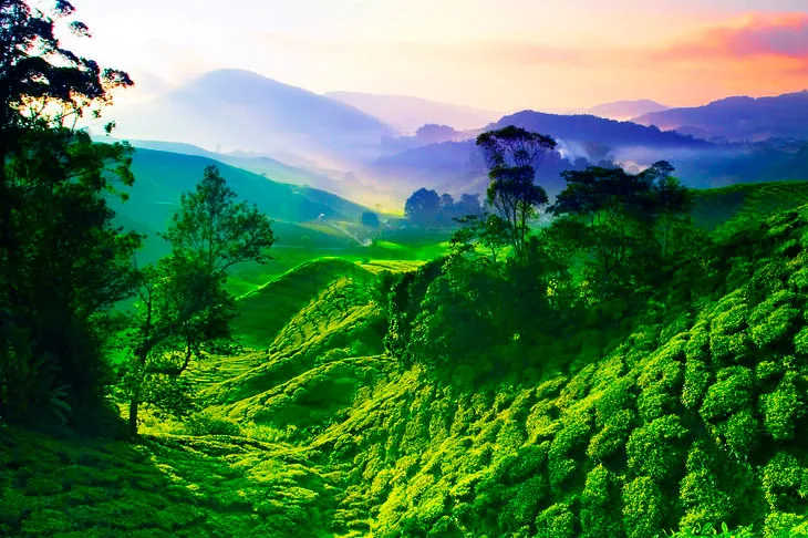 elle viet nam du lịch malaysia8