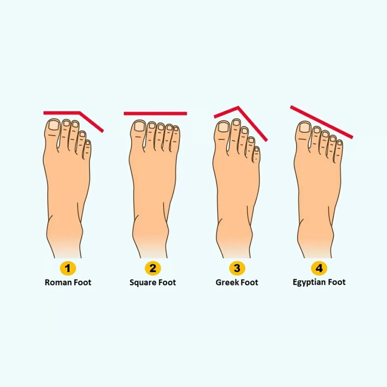 Trắc nghiệm hình dáng ngón chân