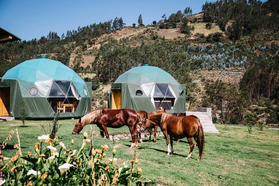 lối sống bền vững peru eco camp 3