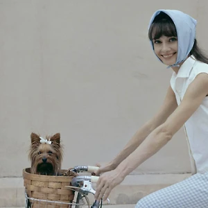 học cách mặc đẹp với khăn bandana từ audrey hepburn