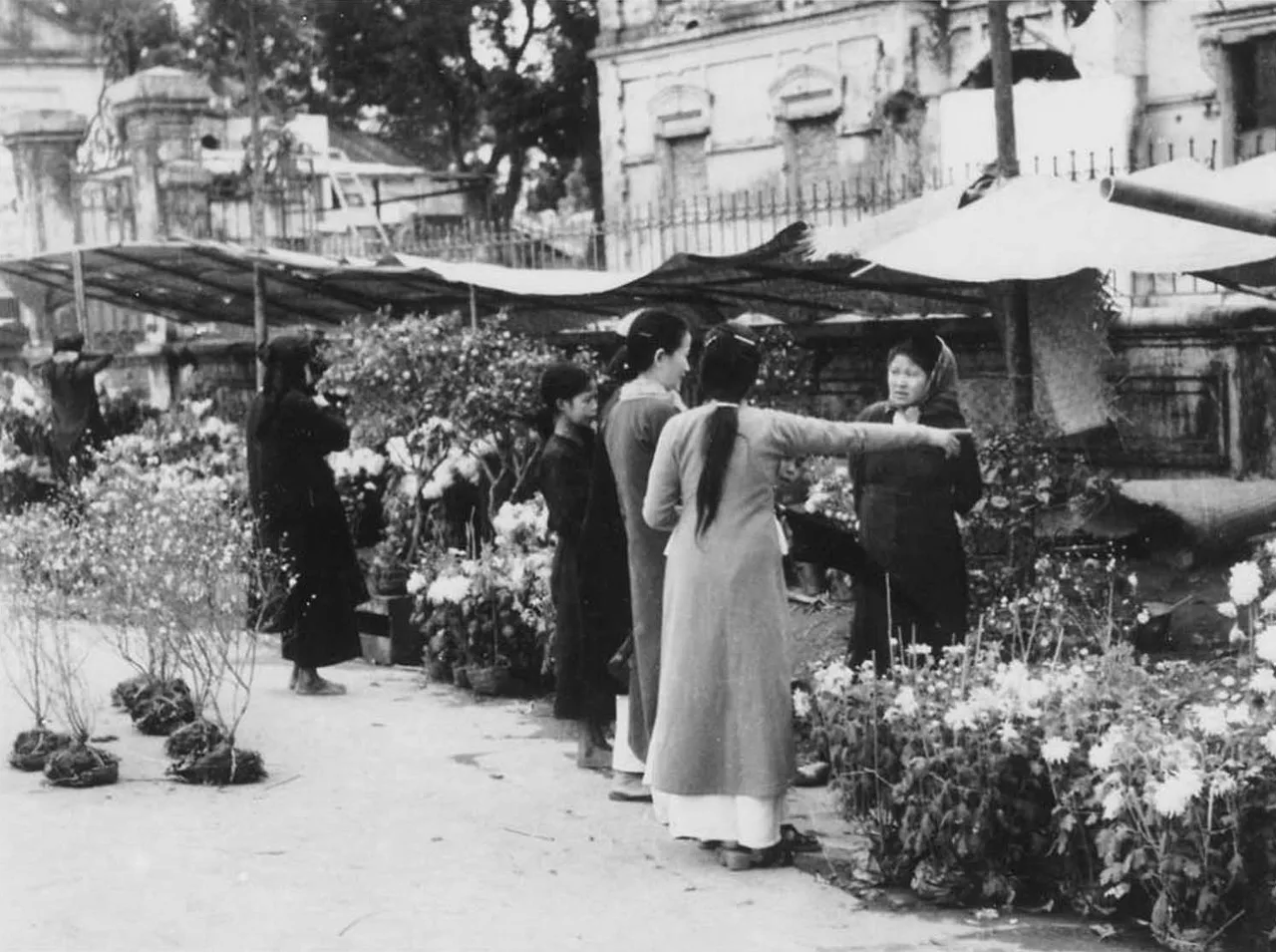 Tết Ất Mùi năm 1955