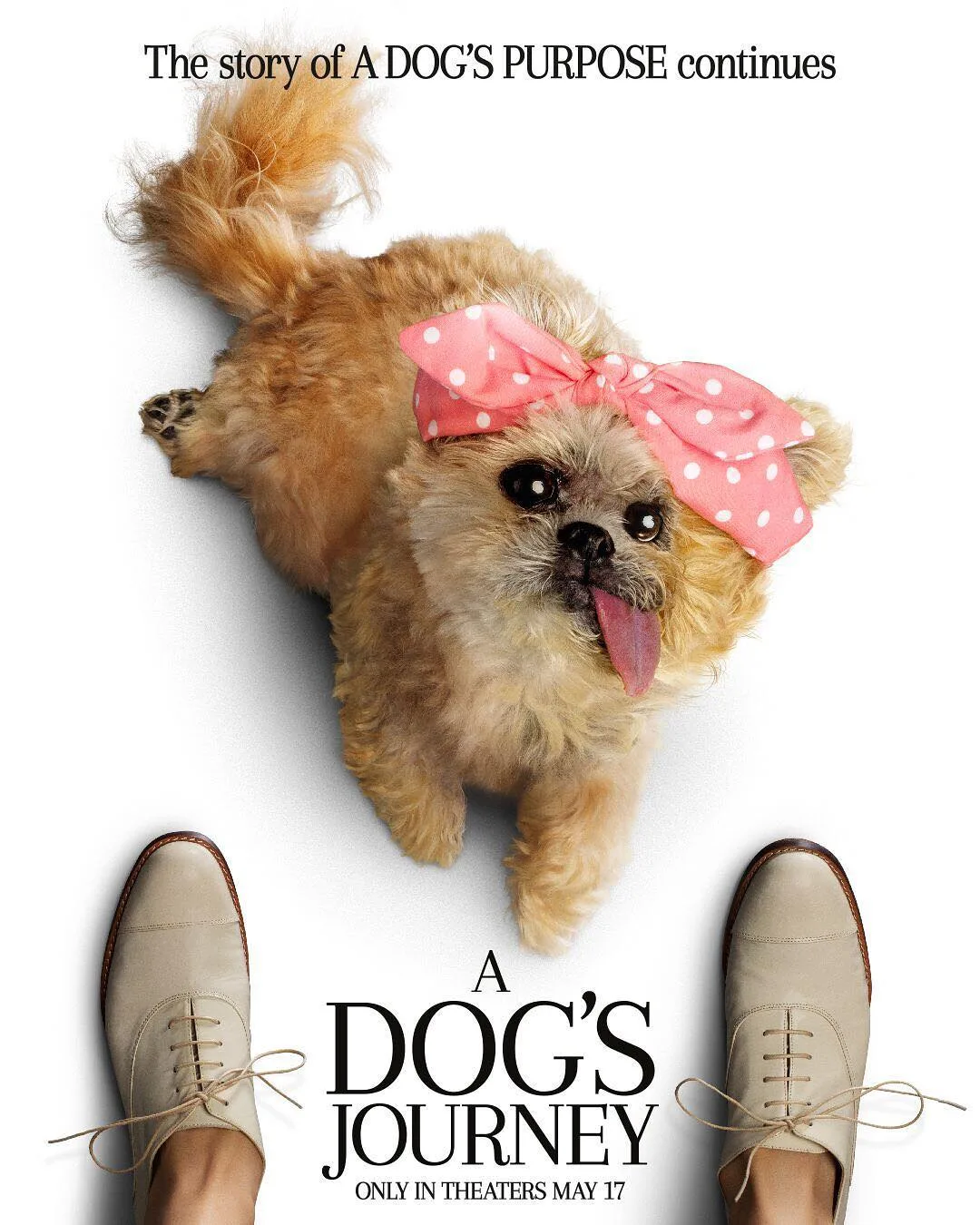 tài khoản instagram của Marnie