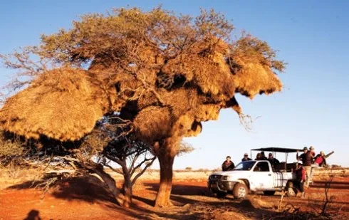 Du lich Namibia tieng goi noi hoang da 5