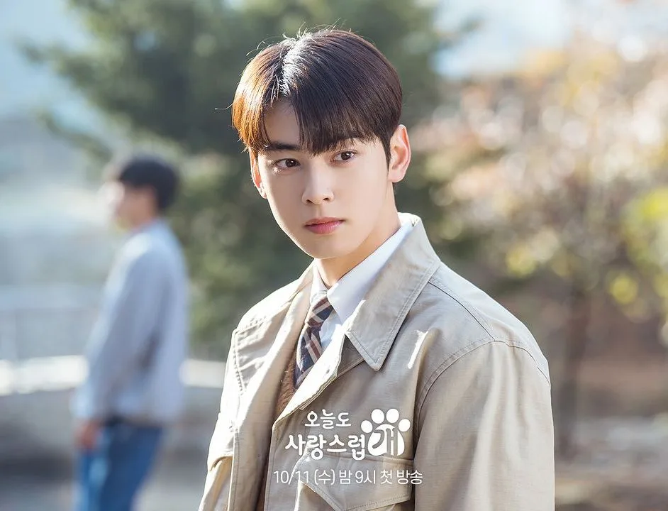 nam chính cha eun woo