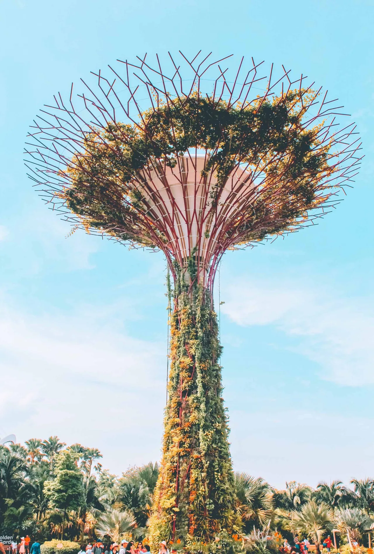 Supertree Grove Singapore