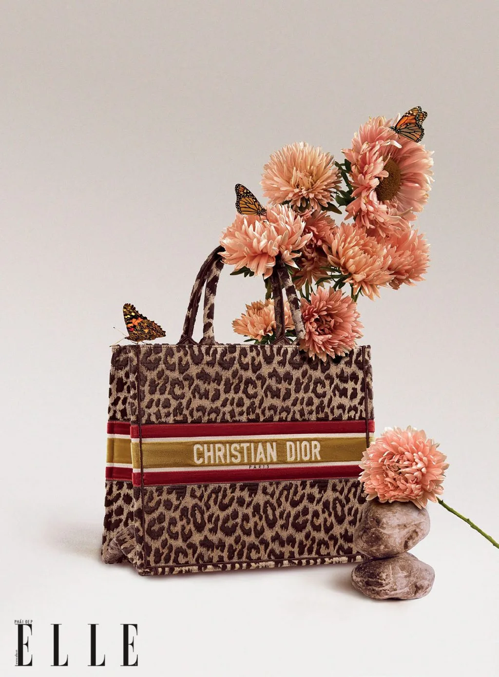 phụ kiện book tote của Christian Dior phụ kiện book tote của Christian Dior