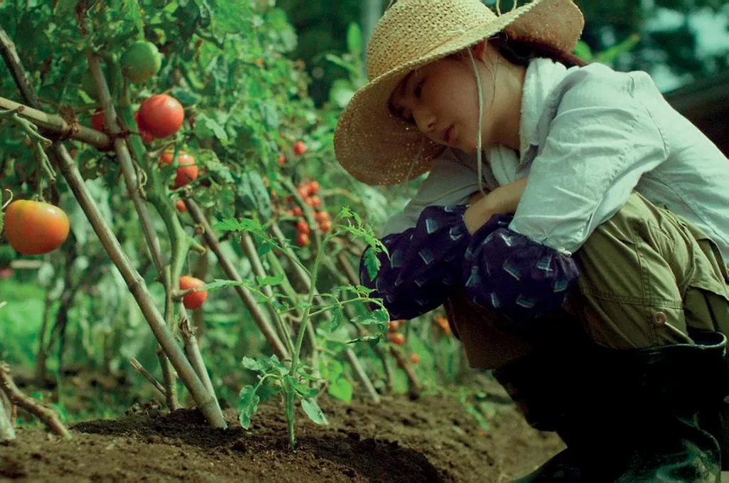 thực phẩm tự nhiên thực phẩm tự nhiên