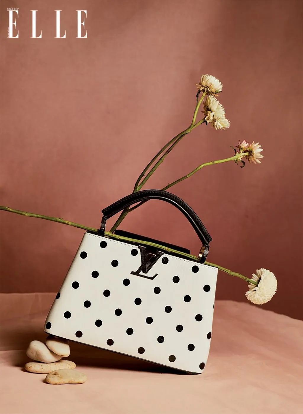 chiếc túi thương hiệu Louis Vuitton chấm bi chiếc túi thương hiệu Louis Vuitton chấm bi