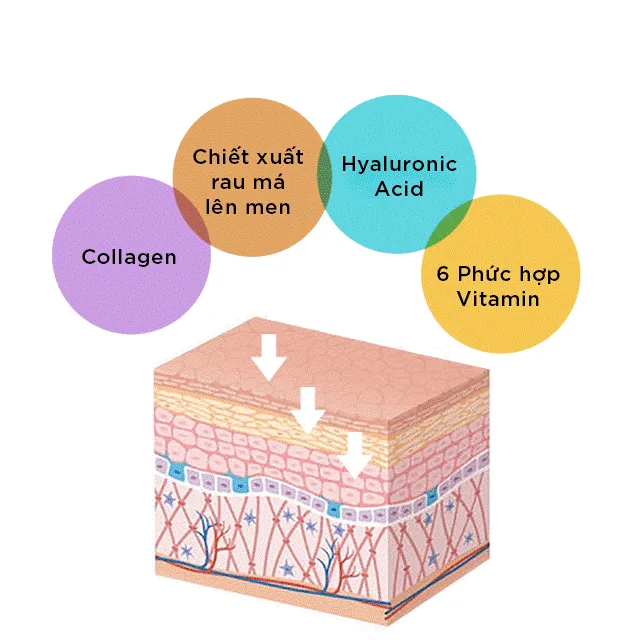 Artistry đẩy lùi tình trạng lão hóa Artistry đẩy lùi tình trạng lão hóa