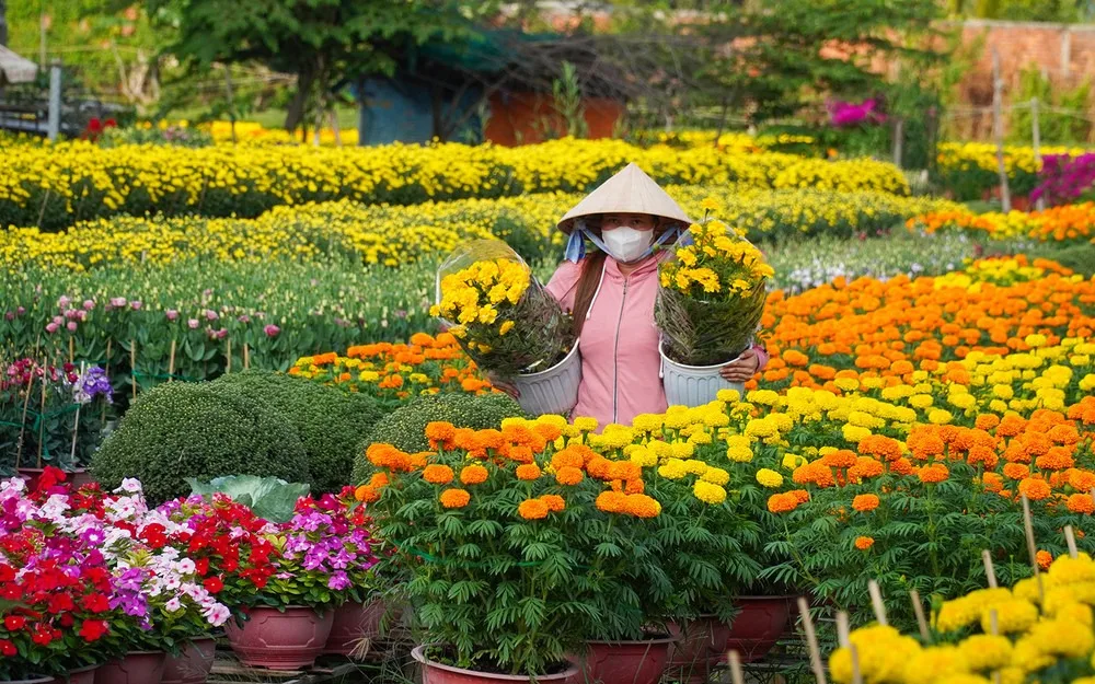 Làng hoa Tết 2026 Bà Bộ.