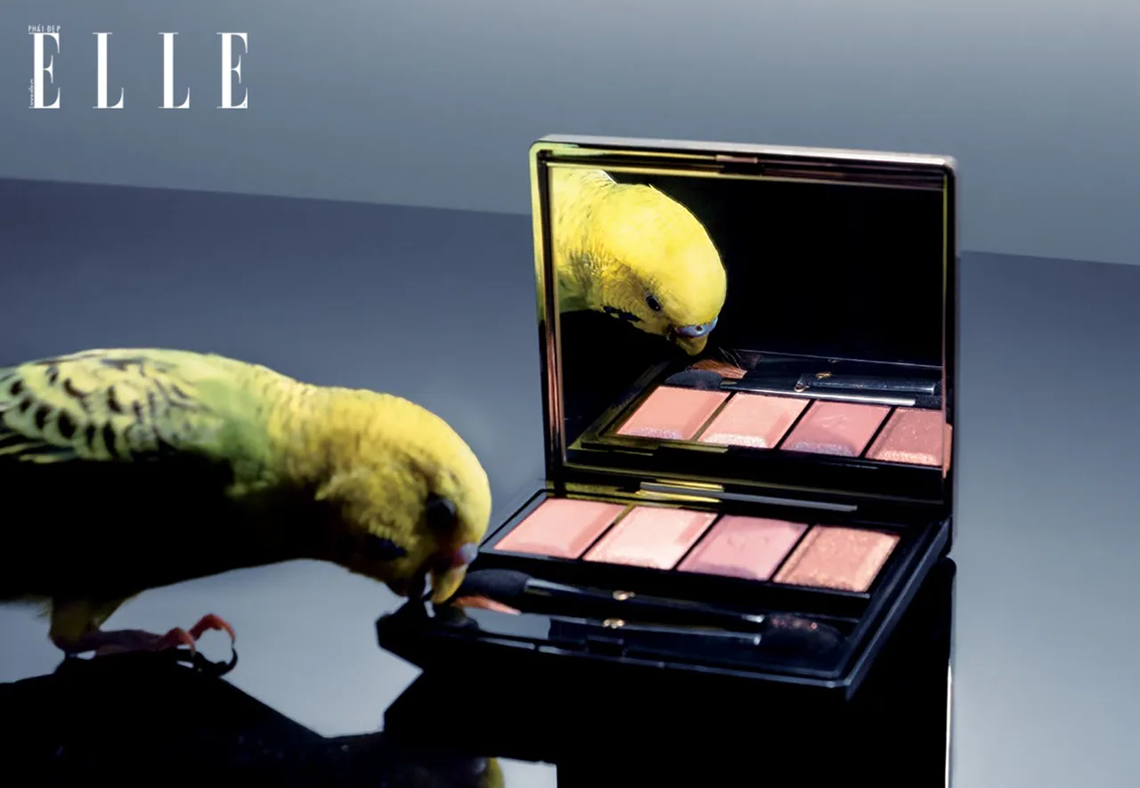 trang điểm bảng màu mắt cle de peau trang điểm bảng màu mắt cle de peau