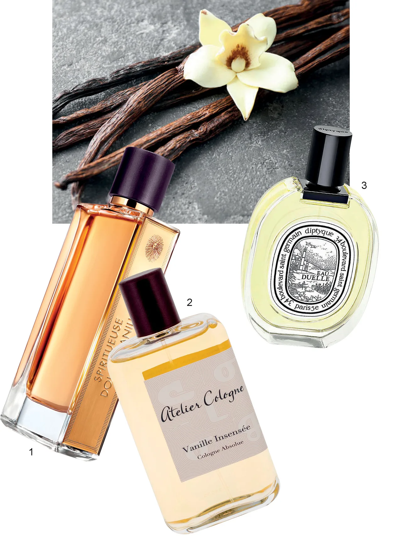 mùi hương Gourmand guerlain cologne dirtyque mùi hương Gourmand guerlain cologne dirtyque