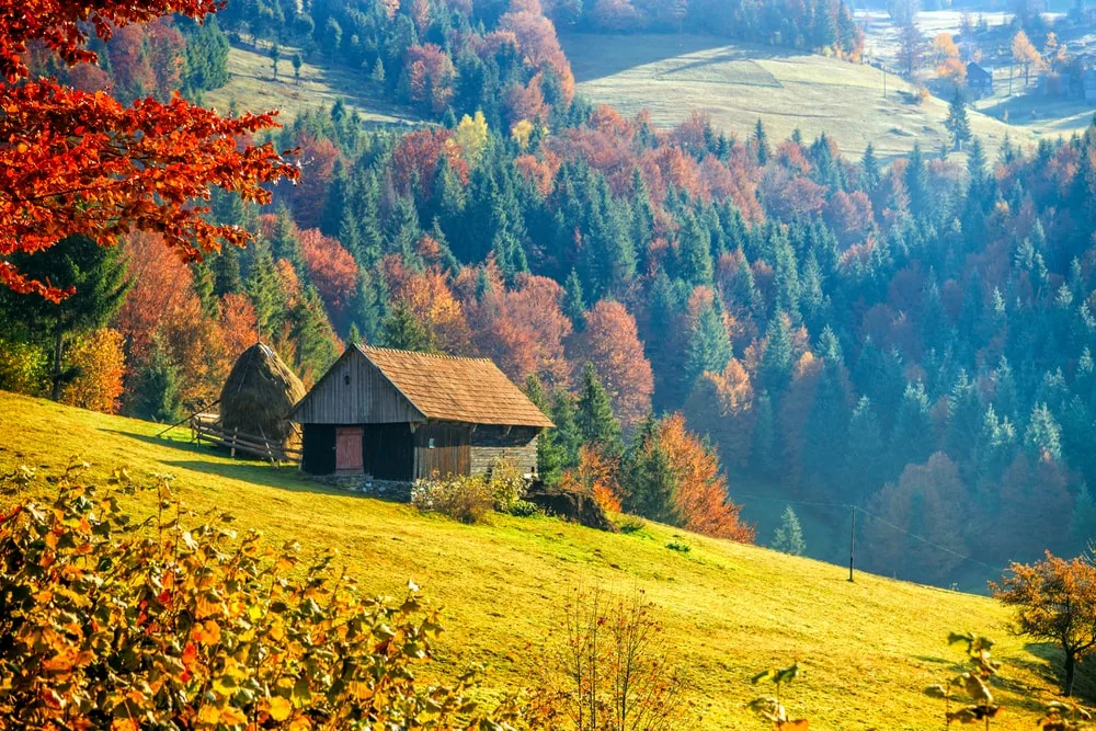 Transylvania Romania mùa thu
