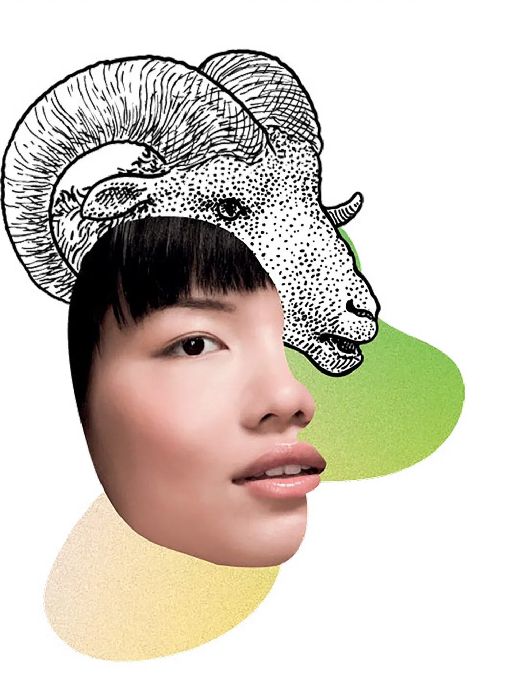 cung hoàng đạo ma kết cung hoàng đạo ma kết