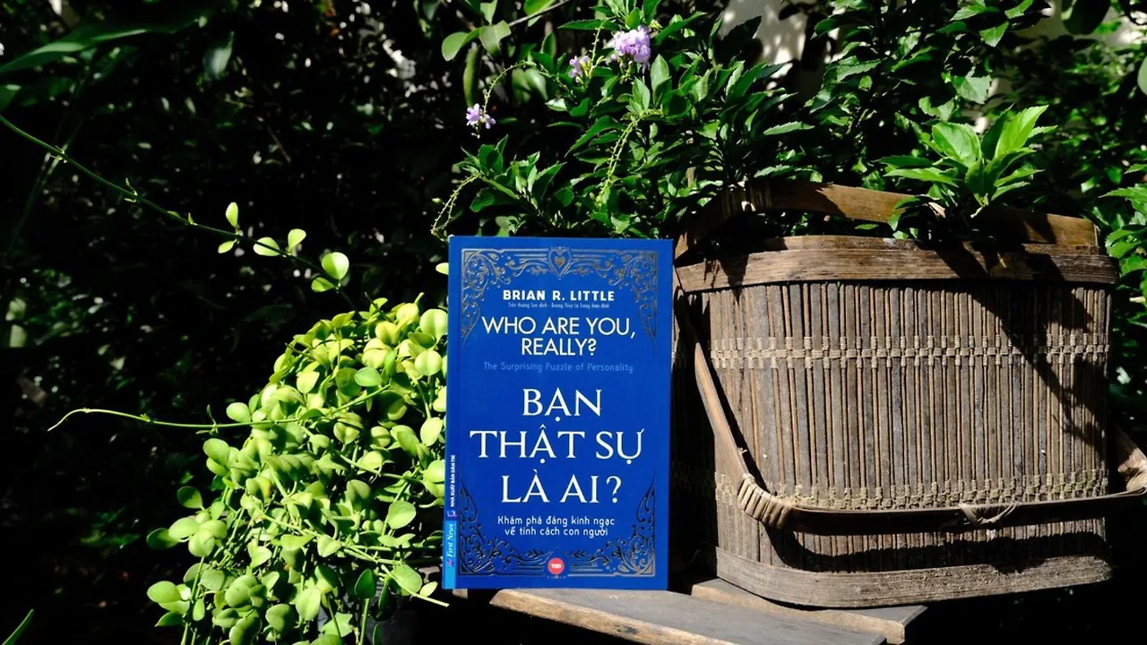 Bài viết liên quan