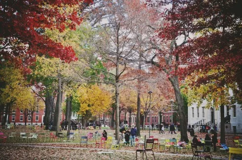 Lá xanh, lá vàng, lá đỏ và lá rụng trong sân trường Đại học Havard ở Cambridge - Massachusett.
