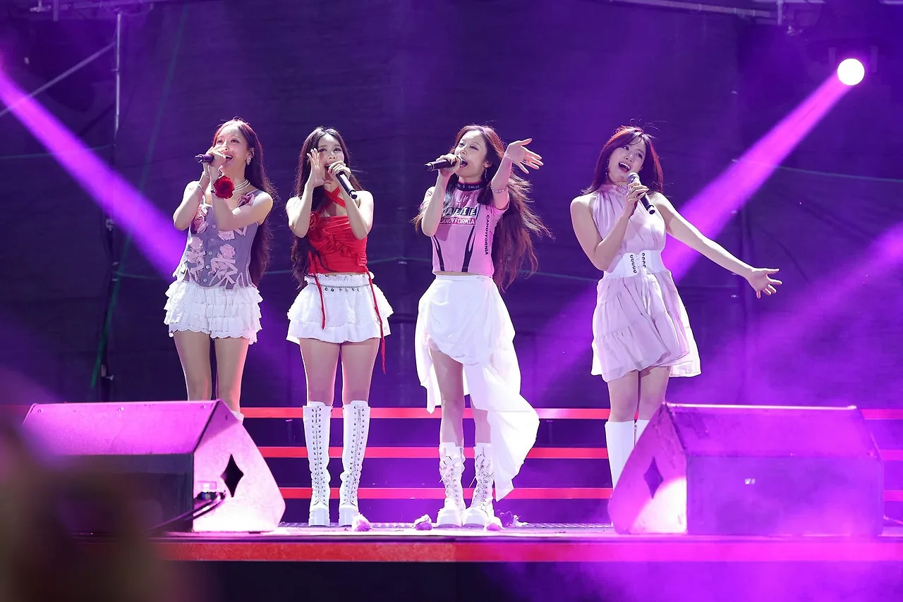 T ara tại buổi trình diễn tại Việt Nam