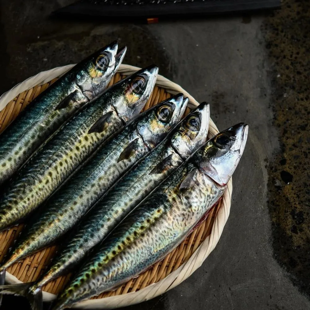 Cá thu chứa lượng lớn omega-3