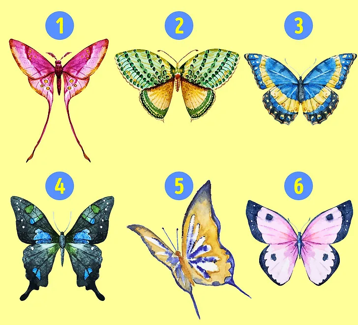 cánh bướm tiết lộ tính cách 01