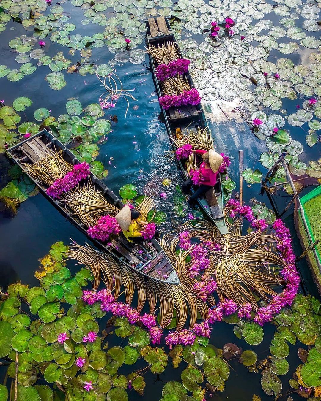 du lịch miền tây