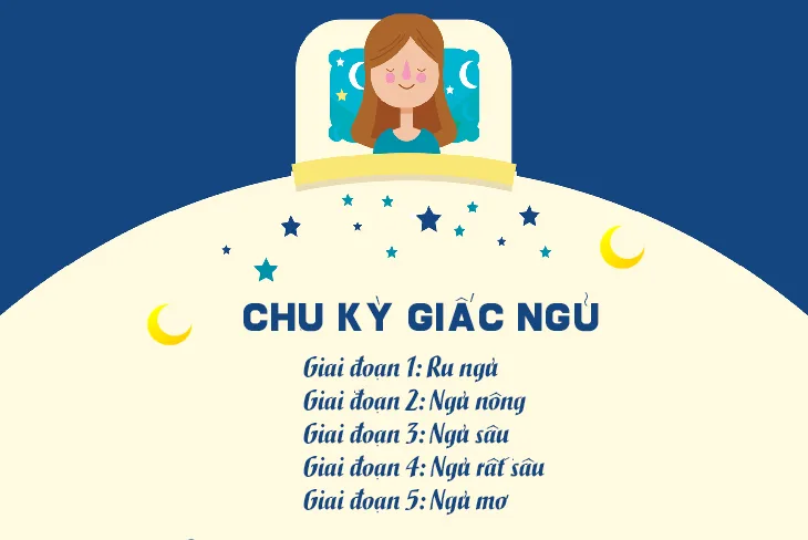 11 sự thật về giấc ngủ