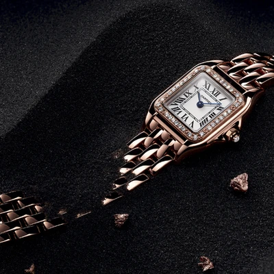 Panthère de Cartier 9