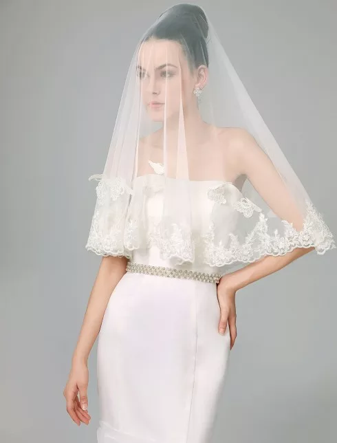 veil 6