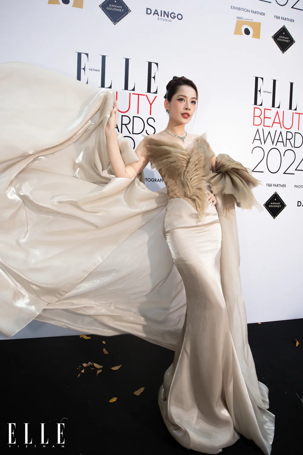 chipu elle beauty awards