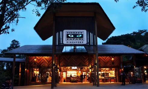 Night Safari