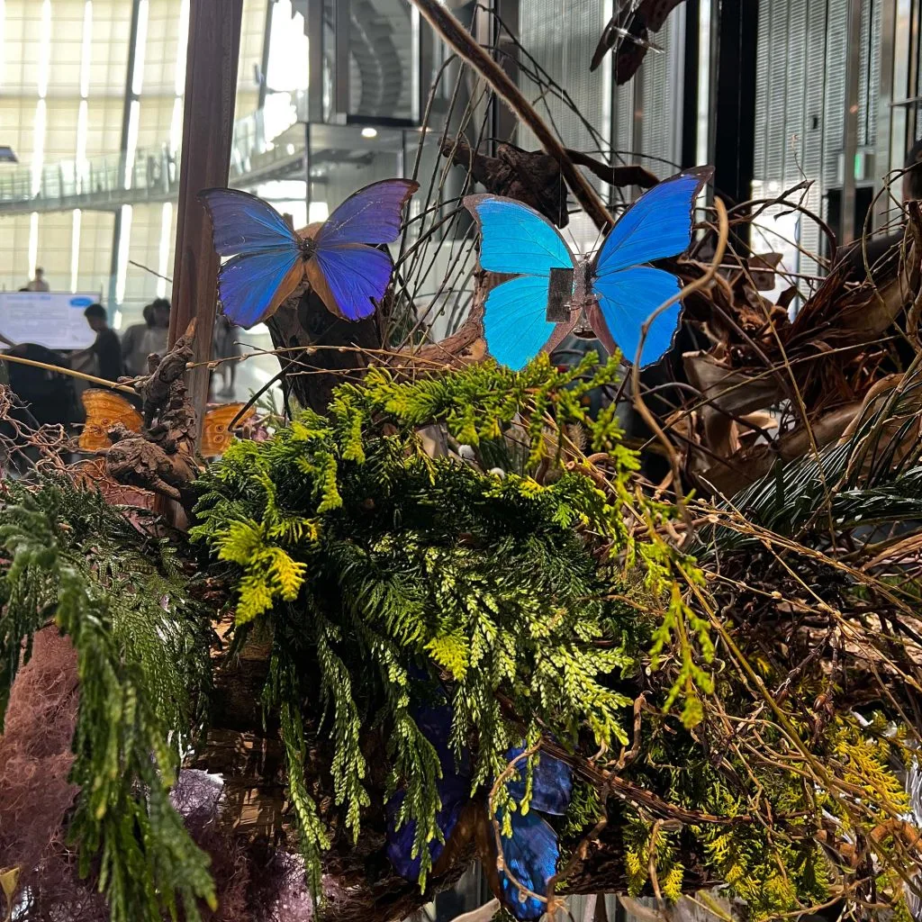Odaiba những cánh bướm máy Odaiba những cánh bướm máy