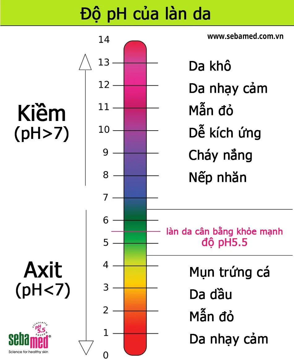 NHỮNG ĐIỀU BẠN CẦN BIẾT VỀ ĐỘ PH CỦA DA NHỮNG ĐIỀU BẠN CẦN BIẾT VỀ ĐỘ PH CỦA DA