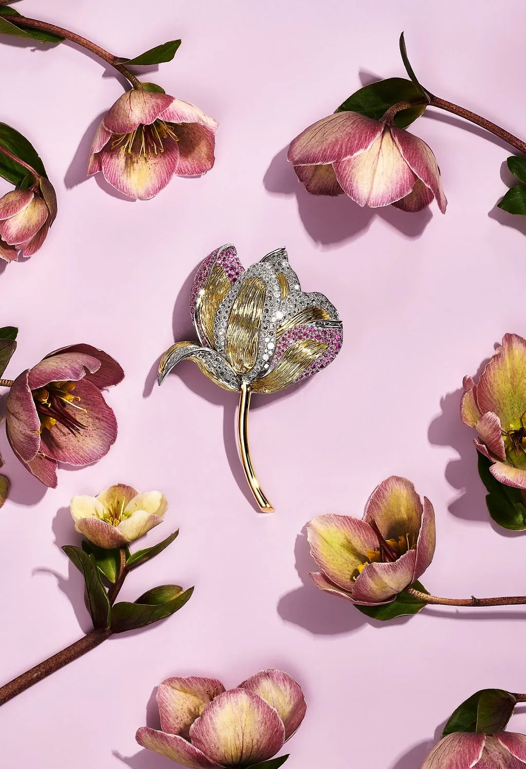 BST trang sứ Tiffany & Co Botanica: Blue Book 2022 cánh hoa background hồng