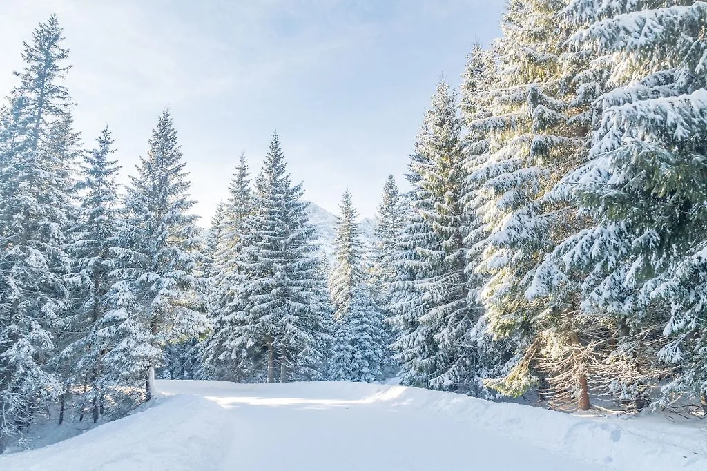 thị trấn zakopane đường đến hồ morskie thị trấn zakopane đường đến hồ morskie