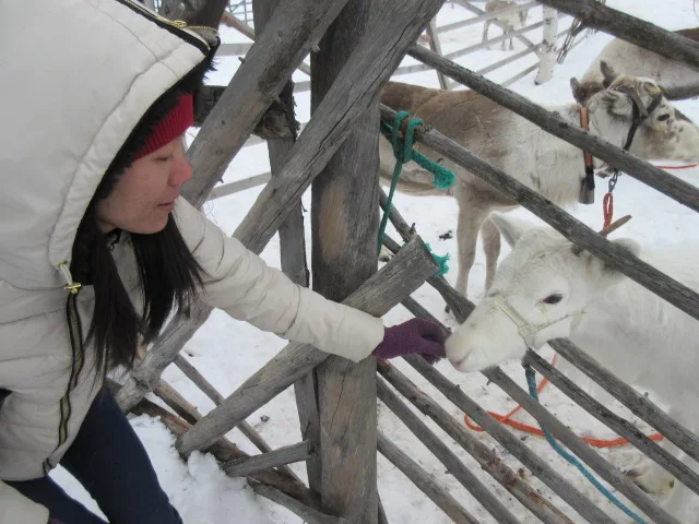 Du lịch Lapland, Phần Lan, quê hương ông già Noel - 05