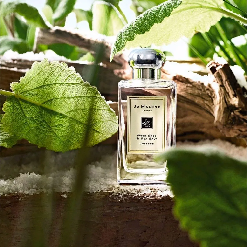 mùi hướng Jo Malone Wood Sage mùi hướng Jo Malone Wood Sage
