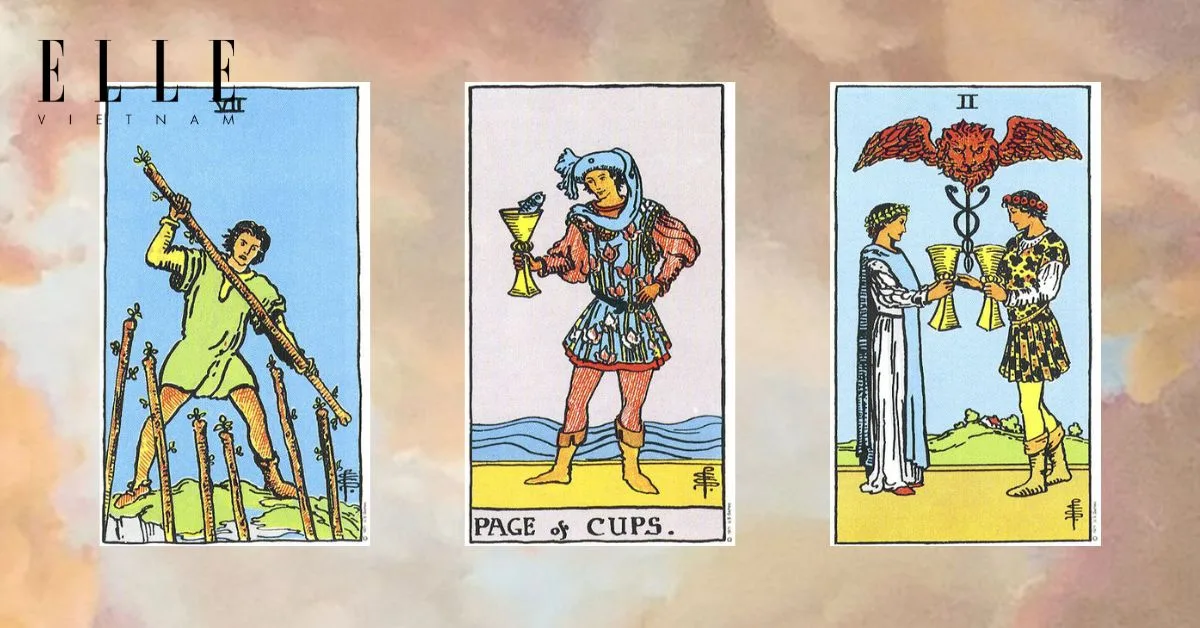 Bạn có các lá bài tarot: Seven of Wands - Page of Cups - Two of Cups