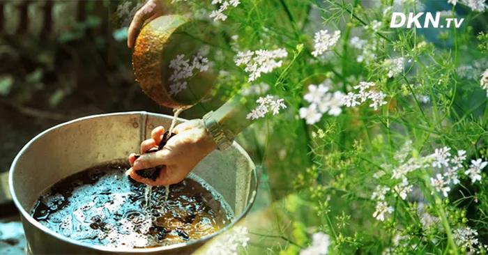 gội đầu không cần dầu gội 8 gội đầu không cần dầu gội 8