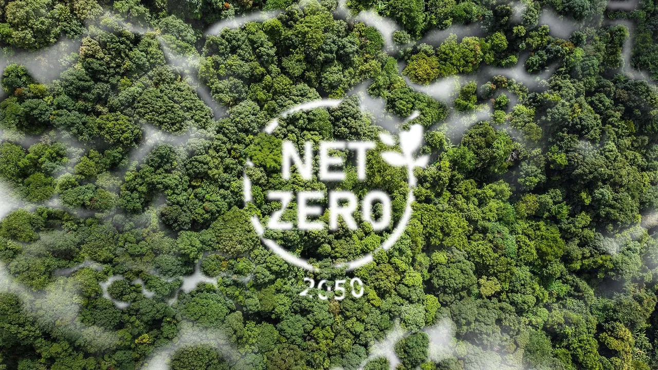 mỹ phẩm khái niệm net zero mỹ phẩm - hình cây xanh