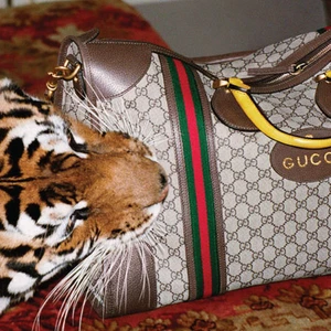 Nhà mốt Gucci với tôn chỉ đạo đức nhằm bảo vệ môi trường sống loài người