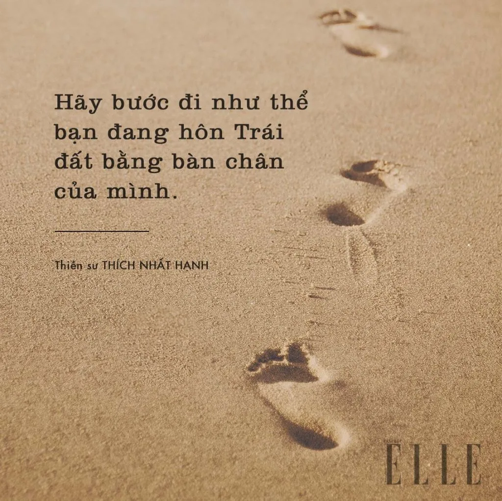 câu nói hay của thích nhất hạnh về thời gian 2