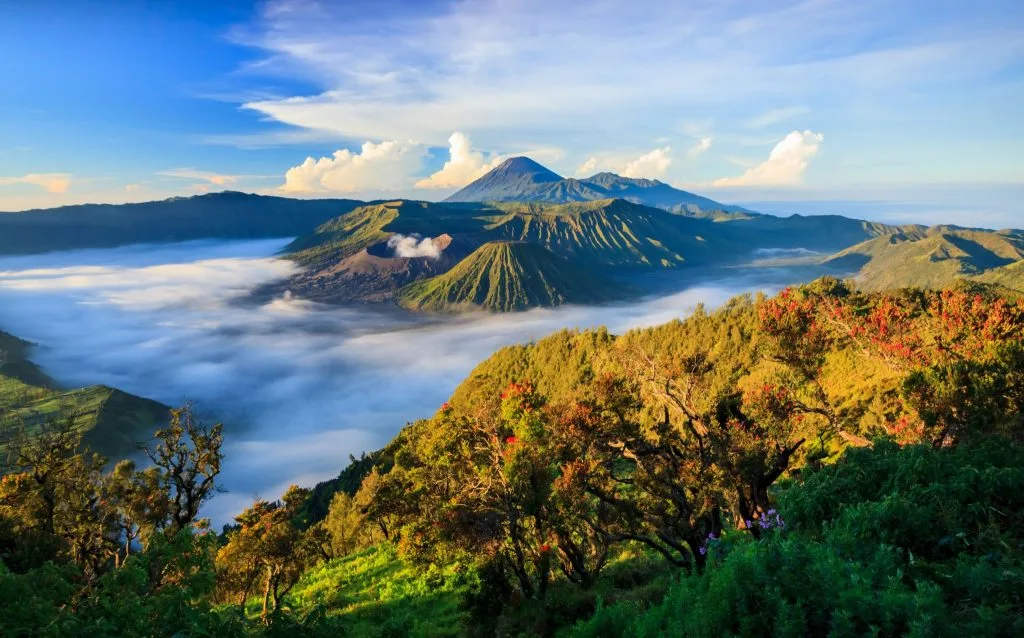 Hòn đảo thiên đường 1