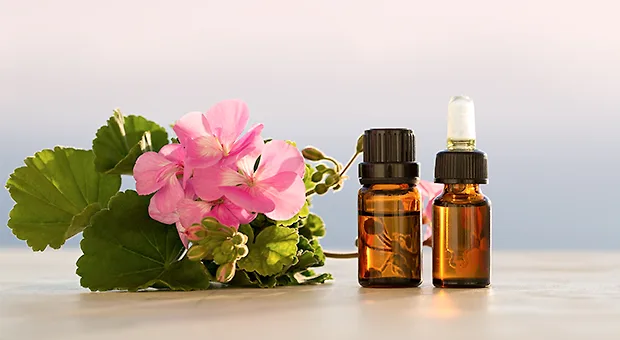 Các loại tinh dầu dưỡng da giúp dưỡng ẩm phù hợp với da chàm Các loại tinh dầu dưỡng da giúp dưỡng ẩm phù hợp với da chàm