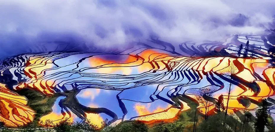 ảnh đẹp nguyên dương nắng vàng