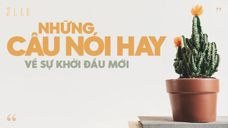 Bài viết liên quan