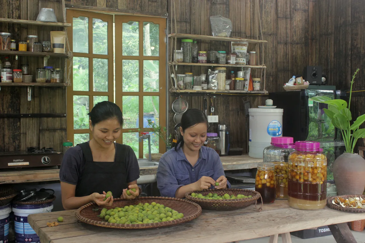 vườn cuộc sống về vườn vườn cuộc sống về vườn