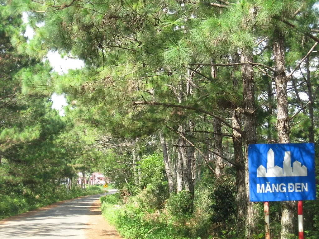 Du lịch Măng Đen
